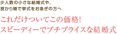 これだけついてこの価格。スピーディーでプチプライスな結婚式